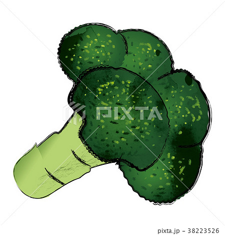 ブロッコリーのイラスト 線アリ 手描き風イラスト 墨絵のイラスト素材