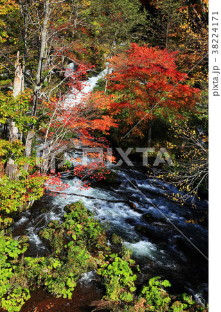 阿寒滝見橋からの紅葉 阿寒滝見橋からの紅葉 38224171