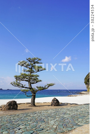 白良浜の松と青い海（和歌山） 38224534