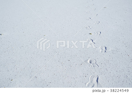 白い砂浜の足跡 38224549