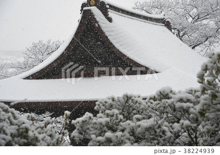 首都圏に大雪が降った日の等覚院境内 首都圏に大雪が降った日の等覚院境内 38224939