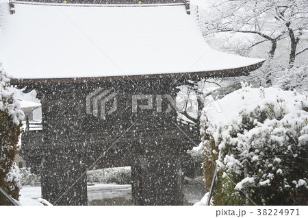 首都圏に大雪が降った日の等覚院境内 首都圏に大雪が降った日の等覚院境内 38224971