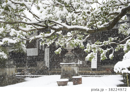 首都圏に大雪が降った日の等覚院境内 38224972