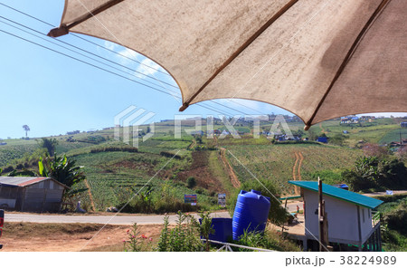 Scenery on Phu Thap Boek In Thailand 38224989