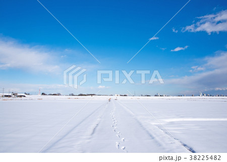 関東地方の大雪　荒川河川敷西遊馬農耕地より大宮方面を望む　 38225482
