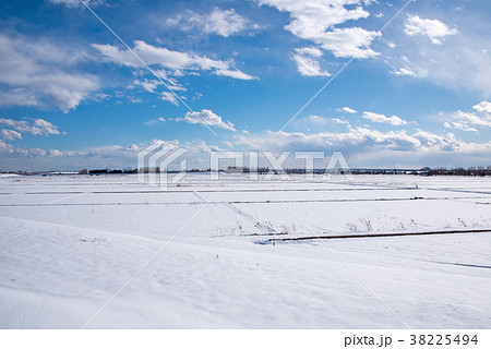 関東地方の大雪 荒川土手より大宮 東京方面を望む 関東地方の大雪 荒川土手より大宮 東京方面を望む 38225494
