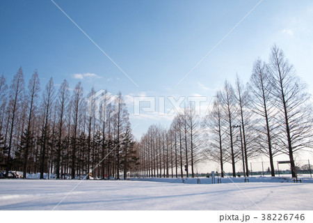 関東地方の大雪 大宮健保グラウンド 雪景色 の写真素材