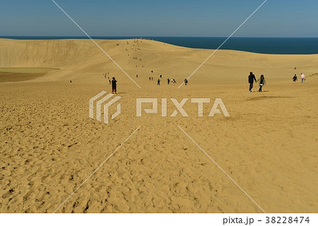 鳥取砂丘 38228474