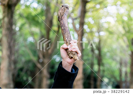 木の棒を振り上げる女性の写真素材