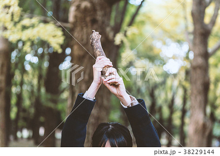 木の棒を振り上げる女性の写真素材