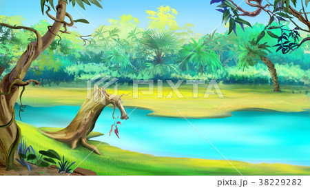 River in the Tropical Jungle in a sunny day River in the Tropical Jungle in a sunny day 38229282