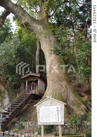 東海道 東海道 38229445