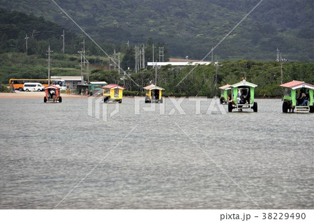 沖縄県八重山諸島西表島　由布島牛車-5 38229490