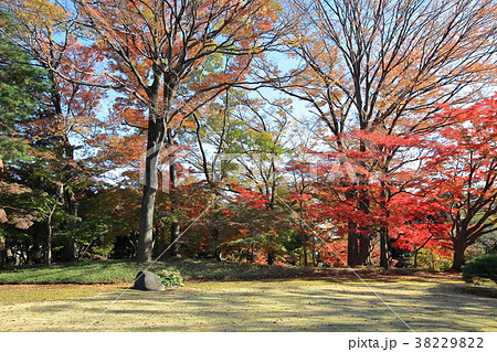 殿ヶ谷戸庭園　国分寺市 38229822