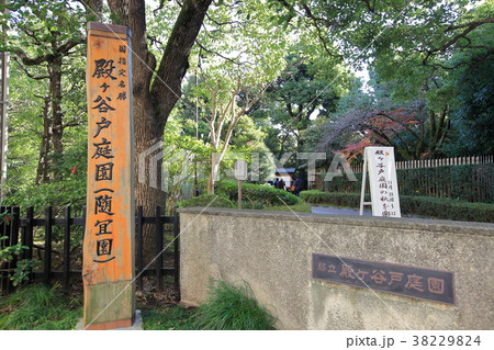 殿ヶ谷戸庭園　国分寺市 38229824