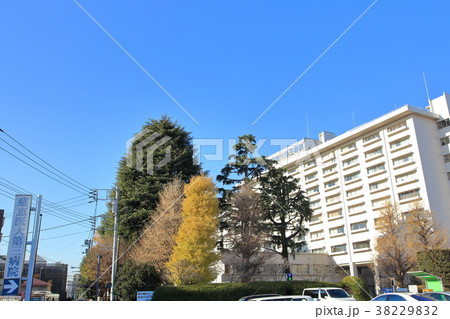 慈恵医大第三病院 狛江市 慈恵医大第三病院 狛江市 38229832