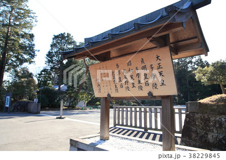 武蔵陵墓地　八王子市 38229845