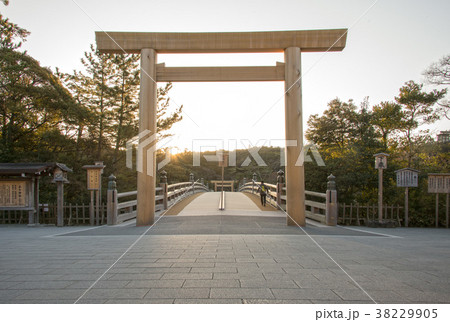 伊勢神宮　大鳥居 38229905