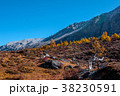 Autumn scenery in Yading Nature Reserve 38230591