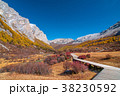 Autumn scenery in Yading Nature Reserve 38230592