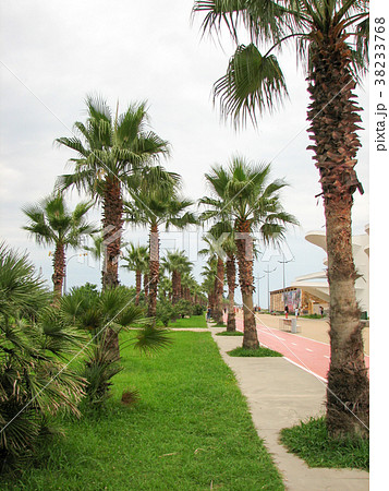 The beautiful bike path The beautiful bike path 38233768