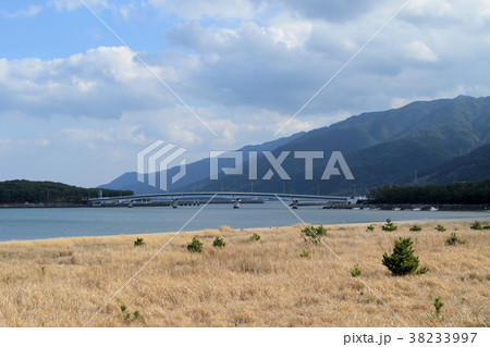 柏原大橋 柏原大橋 38233997