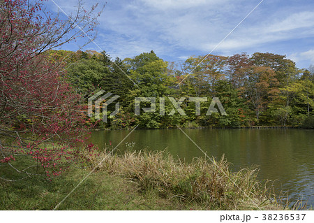 軽井沢タリアセン 38236537