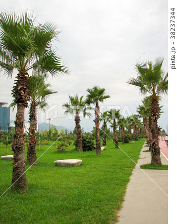 City view with nice modern high buildings 38237344