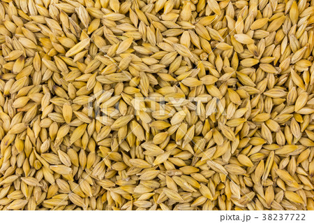 barley many grains base pattern background 38237722