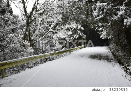 積雪 積雪 38239356