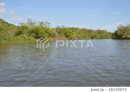 釧路湿原（北海道） 38240873