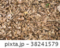 close up dry leaf background 38241579