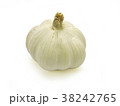 Garlic head on white background. 38242765