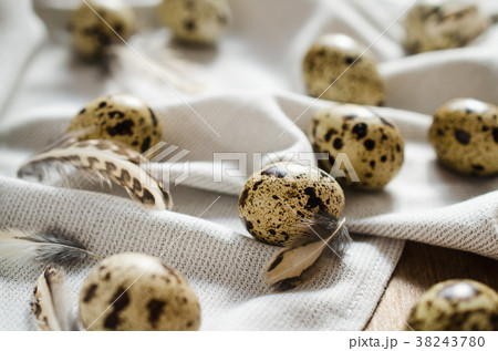 Fresh Organic Quail Eggs on Wooden Table. Fresh Organic Quail Eggs on Wooden Table. 38243780