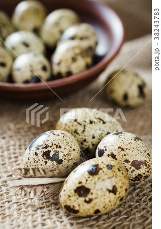 Fresh Organic Quail Eggs and Spring Foliage. 38243783