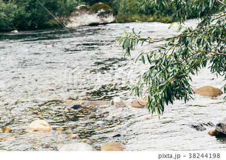 Fast mountain river with stones and trees Fast mountain river with stones and trees 38244198