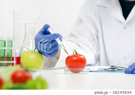 Scientist is working on genetically modified food. 38245634