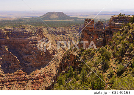 グランドキャニオン・デザートビュー 38246163