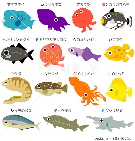 100 Epic Bestイラスト 魚 動物ゾーン