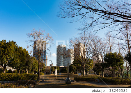 武蔵小杉高層ビル郡 38246582