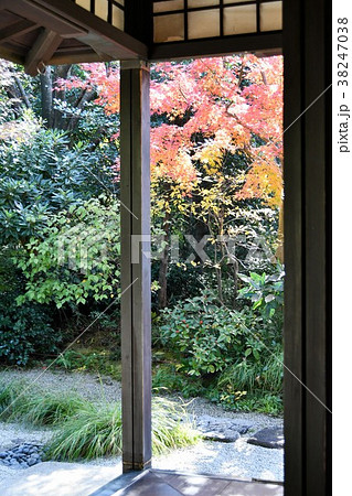 秋の丈山苑　詩泉閣 38247038