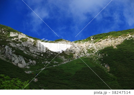 中央アルプス千畳敷　極楽平への登り 38247514