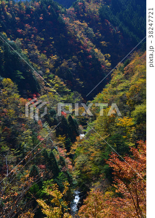 渓谷と紅葉(徳島県那賀町)(剣山スーパー林道より) 渓谷と紅葉(徳島県那賀町)(剣山スーパー林道より) 38247721