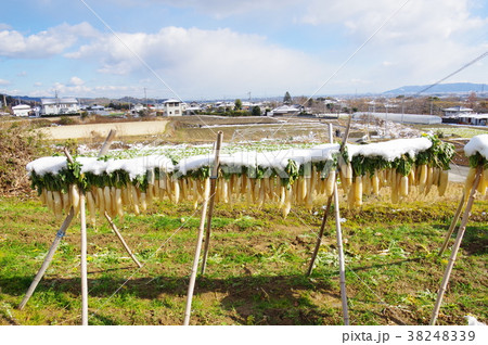 干し大根 38248339