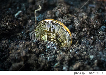 Symbolic golden coin of bitcoin growing in soil 38249084