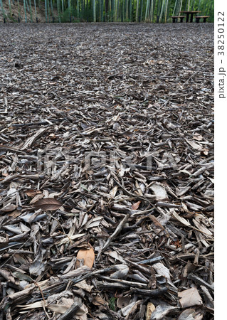 ウッドチップ 38250122