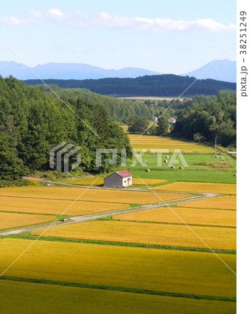 秋の東川町 38251249
