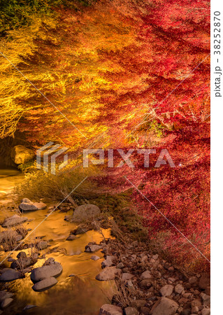国の名勝!「紅葉ライトアップの奥津渓谷」(岡山県鏡野町) ※作品コメント欄に撮影位置情報有り 国の名勝!「紅葉ライトアップの奥津渓谷」(岡山県鏡野町) ※作品コメント欄に撮影位置情報有り 38252870