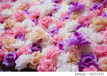 Roses wall background Roses wall background 38253287