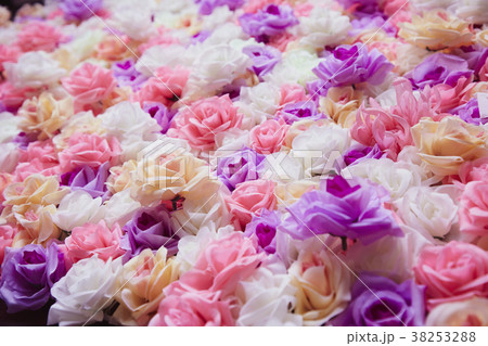 Roses wall background Roses wall background 38253288